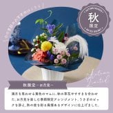 カラフルガーデン アレンジメントS  生花 花市場から直送 お祝い 誕生日 記念日