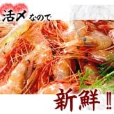 ボタンエビ 活 〆 オス 大中サイズ 1kg 秋 北海道 噴火湾産 送料無料※沖縄は送料別途加算
