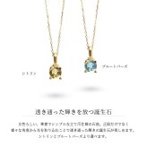 シトリン ブルートパーズ ネックレス K18 ゴールド ネックレス 11月誕生石 一粒 18金 18K イエローゴールド ホワイトゴールド チェーン 長さ選べる 40cm 45cm 50cm ギフトラッピング可能 シンプル 華奢 上品 Rapture プレゼント ハロウィン 【品番：CG-RSP-29051-11】