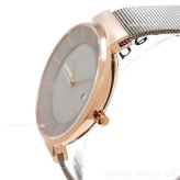 ベーリング BERING 腕時計 メンズ レディース ソーラー 日本限定モデル ペアモデル スカンジナビアンソーラー Scandinavian Solar 14639-369