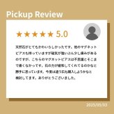 マグネットピアス 天然石 誕生石 磁石 ピアス イヤリング レディース 落ちにくい ホール不要 軟骨 アレンジ はさむだけ 簡単