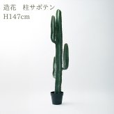 観葉植物 造花 柱サボテン BROWN 全高約141cm 大型 フェイクグリーン 本物そっくり おしゃれ インテリア 人工観葉植物 アーティフィシャルグリーン オフィス 店舗 ホテル 開店祝い 室内 サボテン カクタス フェイク