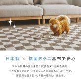 ラグ カーペット ダイニング 約180×220cm 4人掛け 撥水 はっ水 マット 敷物 防ダニ 抗菌防臭 ホット 対応 床暖房対応 日本製 おしゃれ チェック柄 モダン