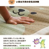 長座布団 い草 アニマル柄 『ござまる 長座布団』 ふくろう 約55×110cm 新生活