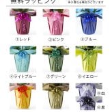 大輪 胡蝶蘭 3本立 白 18輪～33輪 選べる輪数 お祝い 開店祝い 開業祝い 就任祝い 法人