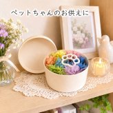 買って被災地応援!15時即日出荷 プリザーブドフラワー  (ミニョン)  ペット 法事 亡くなった 仏花  お供え 位牌花 写真付き 遺影 ペット用 仏具 虹 猫 犬 鳥 ハムスター1周忌 お悔み 供養  3回忌 13回忌 小さめ 虹の橋