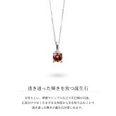 ガーネット ネックレスプラチナ ネックレス 1月誕生石 一粒 PT950 プラチナ950 白金 チェーン 長さ選べる 40cm 45cm 50cm ギフトラッピング可能 シンプル 華奢 上品 Rapture 彼女 妻 女性 レディース 誕生日 プレゼント ハロウィン 【品番：CG-RSP-29051PT-1】