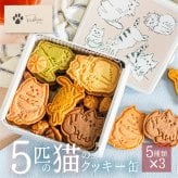 5匹の猫のクッキー缶 ねこ クッキー缶