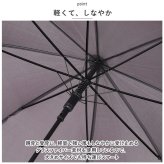傘 レディース 65cm 通販 長傘 大きめ ジャンプ 雨傘 ジャンプ傘 おしゃれ シンプル 大人 かわいい 大判 65センチ 通勤 通学 かさ 雨具 グラスファイバー骨 婦人 レディース雨傘