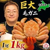 巨大な毛蟹　1ｋｇ前後　1尾入り　ボイル冷凍 北海道産の毛ガニです。毛がにの醍醐味でもあるカニ味噌とかに身と絡めてお召し上がりください