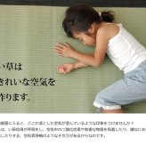 夏ラグ 夏用カーペット 純国産 い草 上敷き カーペット 麻綿織 『清正』 本間8畳(約382×382cm） 熊本県八代産イ草使用