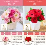 そのまま飾れる アレンジメント Sサイズ 敬老 お中元 敬老の日 退職 入学 送料無料 土日発送OK アレンジ 誕生日プレゼント バラ ギフト フラワー 花束 生花 お祝い フラワーギフト 花 花瓶いらず プレゼント 花 ギフト 50代 60代 70代