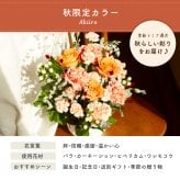 フラワーギフト カラフルガーデンフラワーアレンジメント Mサイズ 生花 花市場から直送 父の日  お祝い 誕生日 記念日