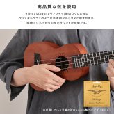 初心者でも始めやすい ウクレレ 12点セット 21インチ(ソプラノ)