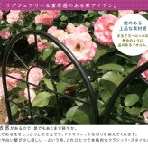 ガーデン エクステリア クラシックフェンス220 ハイタイプ 2枚組 フェンス アイアン ガーデニング 枠 柵 仕切り 目隠し 境目 クラシカル アンティーク トレリス ベランダ つる 薔薇 バラ 朝顔 園芸 ラティス つるバラ 庭誘引 屋外 新生活