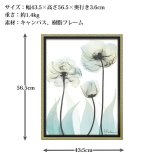 X RAY キャンバスアート ラグジュアリー クリエーション M XR-12502 送料無料 アートフレーム 花 葉っぱ 葉 X線 絵画 アート インテリア