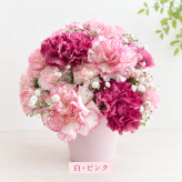 ご希望の色合いで選べる フラワータンブラーアレンジ 高さ23cm 生花 アレンジメント 花ギフト フラワーギフト お祝い 誕生日 記念日 お供え お悔やみ そのまま飾れる 手作り 鮮度重視 送料別途【北海道・沖縄・九州・四国・中国・離島は配送不可】