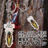 ゆうパケット発送 名入れ文字入れOK 昆虫キーホルダー ヤマトタマムシ 名入れ お酒 ギフト プレゼント 誕生日 結婚祝い 結婚記念日 出産祝い 還暦祝い 男性 女性 父の日 敬老の日 ＊他の商品はこちら→