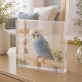 セキセイインコ ガラスブロック 愛鳥 オカメインコ 動物 メモリアルプレート メモリアルグッズ おしゃれ 高級 飼い主 ペットグッズ ペット仏壇 メモリアル フォトキューブ 肉球 うちの子 記念日 写真立て 記念 名入れ 愛猫家 うちの子記念日 ディスプレイ ペット 小鳥 サプライズ 誕生日 オーダーメイド ギフト ペット写真 記念品 メモリアルフォトフレーム 虹の橋 クリスタル 感謝【c01】