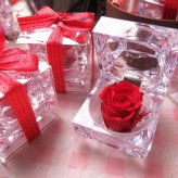 結婚祝い 友達 スヌーピー入り 花束風 フラワーギフト 箱を開けてサプライズ スヌーピー入り 横長ボックス プリザーブドフラワー入り ◆スヌーピーカラーはお任せとなります