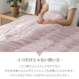 5層構造 あったか こたつ掛け布団 フランネル アルミシート入り 190cm 240cm 260cm 秋冬用 保温 蓄熱 断熱  こたつ布団 ふとん 薄掛けふとん キルトケット 暖かい 洗える 洗濯可能 Easy warm わた使用 韓国インテリア おしゃれ かわいい ピンク グレー ベージュ 送料無料