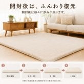 ラグ 極厚45mm ロボット掃除機対応 1.5畳 2畳 3畳 130×190 190×190 190×240cm 厚手 防音 ΔLL-8 はっ水 つまずきにくい 斜めフチ 滑り止め 床暖房対応 オールシーズン 無地 低ホルムアルデヒド ラグマット 北欧