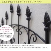 ガーデン エクステリア アイアンローズフェンス150 ロータイプ 2枚組 フェンス アイアン ガーデニング 枠 柵 仕切り 目隠し 境目 クラシカル アンティーク トレリス ベランダ つる 薔薇 バラ 朝顔 園芸 ラティス つるバラ 庭誘引 新生活