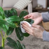 ガーデン エクステリア 観葉植物 ヤドリフカノキ ２１６ フェイクグリーン 植物 緑 グリーン 癒し 植木 インテリア ガーデニング おしゃれ カフェ リビング プランター ギフト プレゼント 贈り物 オフィス 会社 枯れない 簡単 手入れ 樹木 新生活