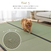 撥水 国産 い草 日本製 置き畳 ユニット畳 簡単 和室 ナチュラル 約88×176cm 単品