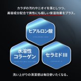 EVERSKIN ボディーソープ メンズ 体臭 ワキガ 加齢臭 背中ニキビ 皮脂 足臭 脇汗 【医薬部外品】ホワイトティーの香り 日本製 400ml