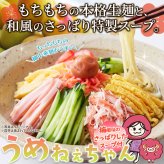 うめねぇちゃん 冷やし中華 5食セット 冷やし麺 生麺 スープ付き 個包装 夏麺 中華麺 ポスト投函便