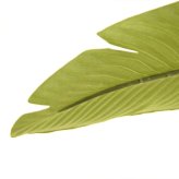 観葉植物 造花 トラベラーズパーム BROWN 全高約155cm 大型 フェイクグリーン 本物そっくり おしゃれ インテリア 人工観葉植物 アーティフィシャルグリーン オフィス 店舗 ホテル 開店祝い 室内 旅人の木 タビビトノキ フェイク