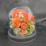 プリザーブドフラワー／オレンジの大輪の薔薇と小花のクリアドームギフト