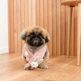 DADWAYPET ダッドウェイペット FAD ファッド ノーティードッグ・トイ マフラー ラビット 犬用おもちゃ