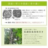 夏ラグ 夏用カーペット ラグ 純国産 国産 日本製 い草 抗菌防臭 自然素材 モダン 『DXカラフルブロック』 約191×191cm