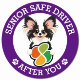カーサイン 高齢者マーク SENIOR SAFE DRIVER パピヨン マグネット 強力 直径13cm 肉球 日本製 車 ステッカー