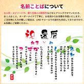 金婚式 ポエム 名前アート 筆文字 ギフト【名前ことば 2名様】M 銀婚式 ダイヤモンド婚 ルビー婚 真珠婚 還暦 古希 喜寿 傘寿 米寿 卒寿 祝い プレゼント 詩 感謝状 名入れ メッセージ 贈り物 お祝い 記念品 男性 女性 父 母 敬老の日 誕生日