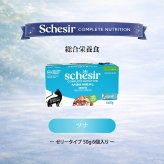 Schesir シシア マルチパック ツナ 猫缶 キャットフード 50gX6P缶パック×8個