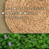 クッション ウォーターヒヤシンス 天然素材 丸型 円形 40丸cm