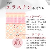 【パッケージリニューアル 2026年4月】季令（KIREI） エラスチンカプセル 100粒 高純度エラスチン 100％天然由来 コラーゲン エラスチン ヒアルロン酸 エイジングケア スキンケア キレイ 無着色 合成保存料・香料不使用 ACTLAND