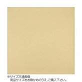 トレシー カラークロス 24×24cm ベージュ A2424-YOO G-05 日本製 超極細繊維 クリーニングクロス メガネ拭き スマホ 液晶画面 レンズ拭き 汚れ落とし 洗って繰り返し使える