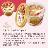 敬老の日 お中元 残暑見舞い アイス ギフト対応 ゴディバ アイス 全8個セット90ml×6個＋10ml×5粒×2個