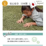 ラグ カーペット 1.5畳 防炎 抗菌 防臭 防ダニ シャギー タフト 国産 無地 『シャンゼリゼ』 約130×190cm