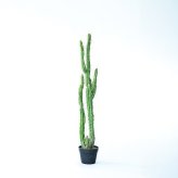 観葉植物 造花 柱サボテン BROWN 全高約118cm 中型 フェイクグリーン 本物そっくり おしゃれ インテリア 人工観葉植物 アーティフィシャルグリーン オフィス 店舗 ホテル 開店祝い 室内 サボテン カクタス フェイク