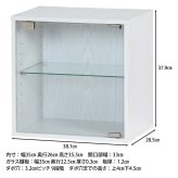 コレクションボックス(前板ガラス) オーク オーク・オークホワイト 2色展開 収納ラック オープンラック シェルフ 整理棚 収納家具 おしゃれ シンプル 新生活 インテリア 不二貿易