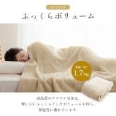 国産 毛布 アクリル 肌触りなめらか ボリューム あったか 洗える 清潔 シングルサイズ 140×200cm なめらかな肌触りの ボリュームあったか毛布 ポリエステル 寝具 寝室用品 インテリア アイボリー ベージュ グレー ピンク 4色