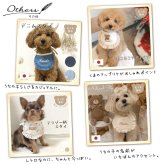 ペット用 スタイ ギンガムチェック 名入れ 名入れ無料 犬 猫 うさぎ よだれかけ 汚れ防止 ビブ 前掛け ドッグウェア インスタ映え 食事 散歩 アクセサリー おしゃれ おめかし バースデー 誕生日 おでかけ お祝い プレゼント ギフト 可愛い