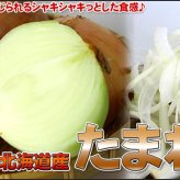 たまねぎ 送料無料 10kg 玉ねぎ 玉葱 タマネギ 北海道産 Lサイズ ※沖縄送料別途加算