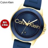 【選べるノベルティー付き】カルバン クライン CALVINKLEIN AQUEOUS44 腕時計 メンズ クォーツ 25200426 カルバンクライン