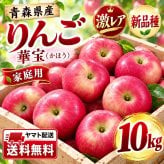 【新品種・希少】青森県産　りんご　家庭用　華宝（かほう）　大玉　10kg　24～40玉　送料無料！
